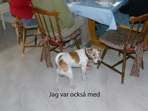 Klicka fr strre bild!